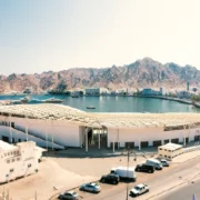 Mystical muscat_3